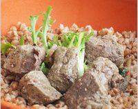 Продукты повышающие гемоглобин